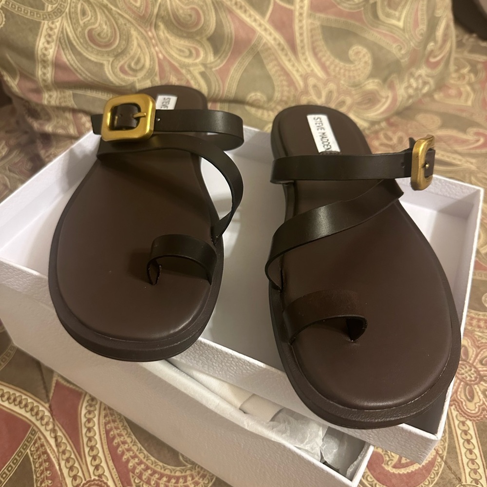 Steve Madden Dark Brown Sandals with Gold Buckle